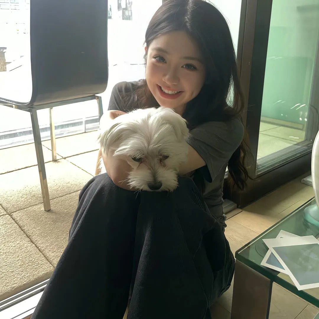 大毛狗